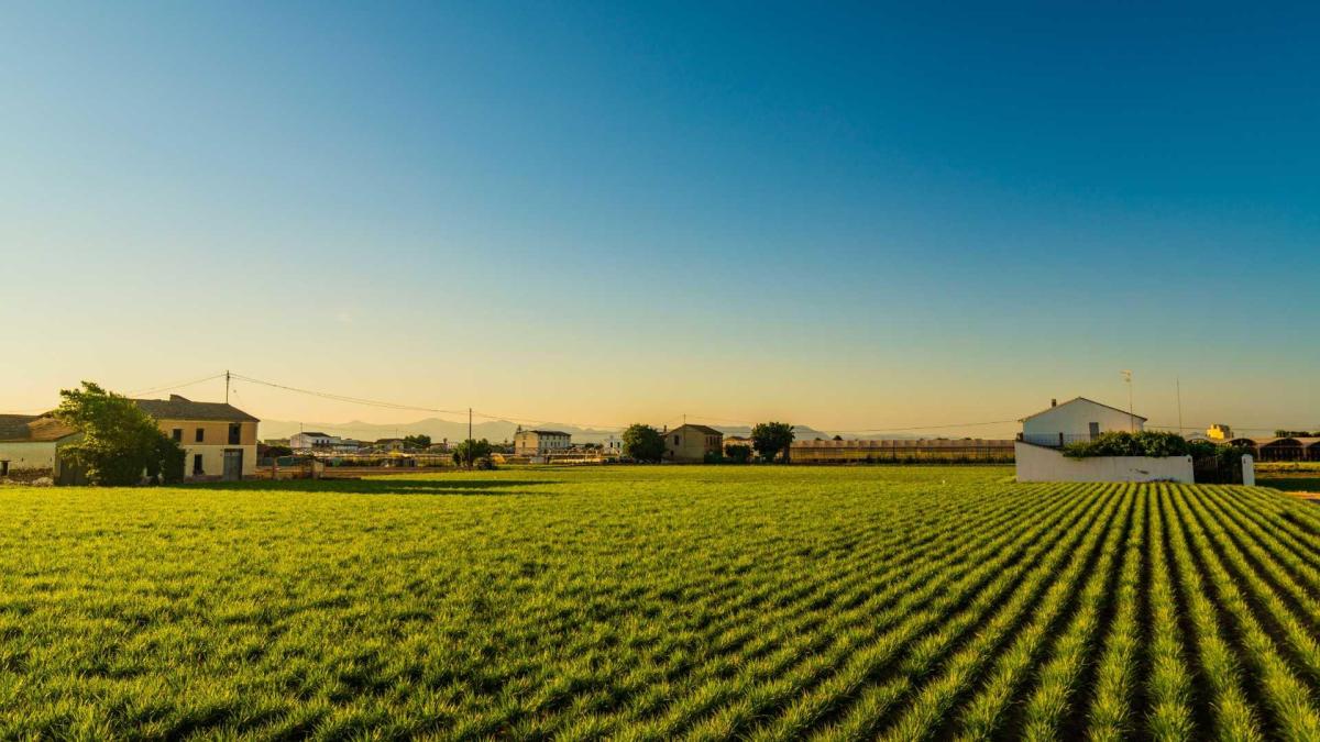 El inquilino del área metropolitana de València ya es “aplastantemente internacional”