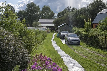 Зумеры признались в одной мечте