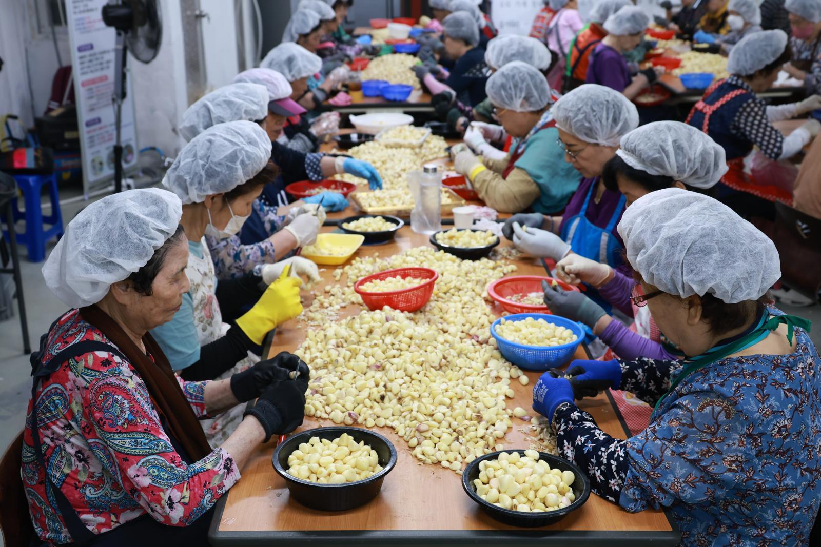 충북형 대표 복지정책 ‘일하는 밥퍼’ ‘의료비 후불제’ 안착