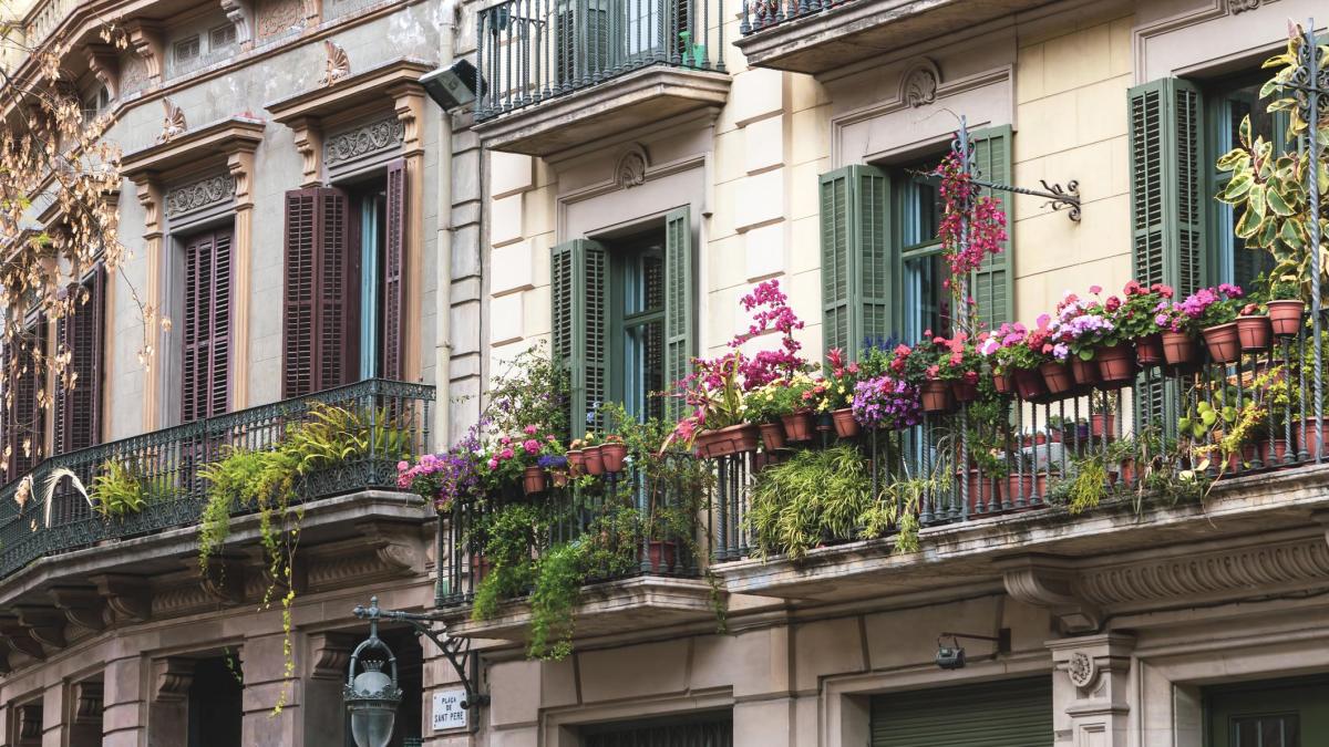Colgar macetas en la barandilla del balcón y lo que dice la ley: “La ausencia de permiso puede obligar al propietario a retirar la jardinera”