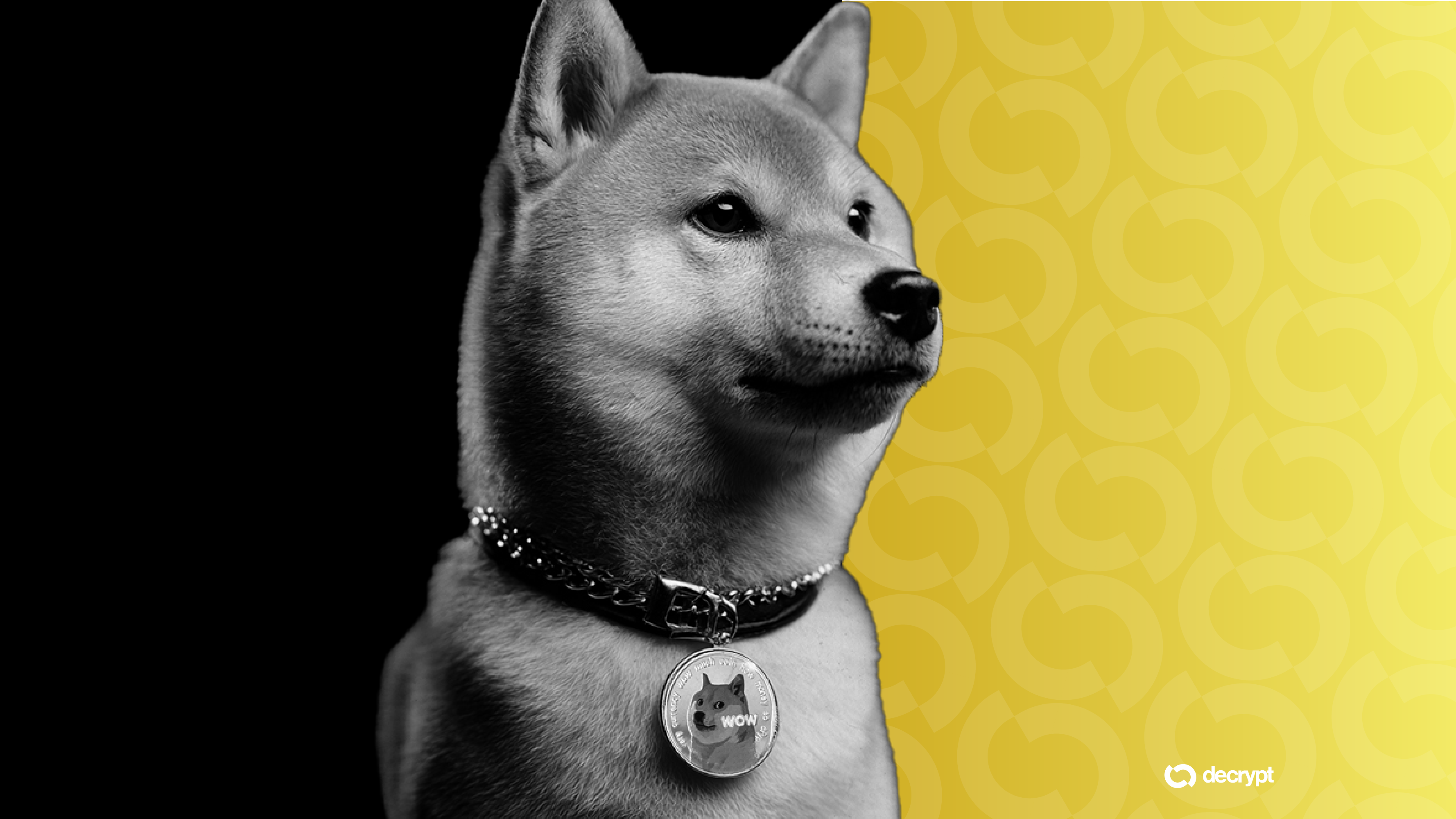Dogecoin Hits 2-Month High as DOGE Mining Firm Plans to Go Public via Merger