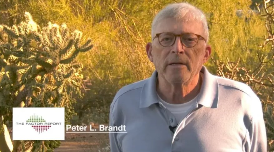 Питер Брандт призвал биткоин-энтузиастов «прекратить принимать грибы»