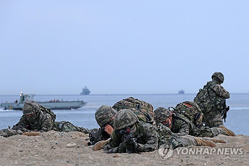 Navy, Marine Corps hold large-scale amphibious landing drills in Pohang