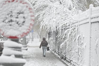 Больше месячной нормы осадков выпало в столичном регионе за сутки