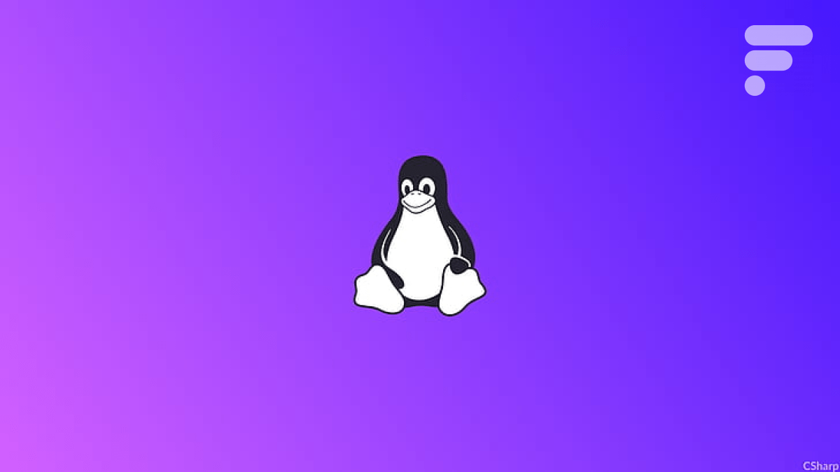 Comment 10 lignes de Python rootent n’importe quel PC Linux