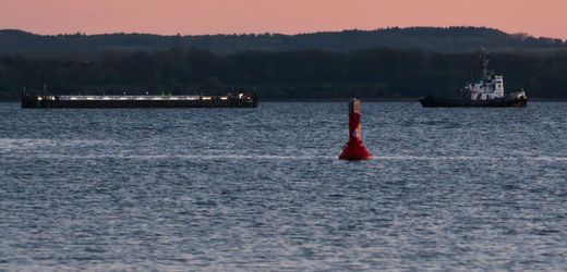 Gestrandeter Wal in der Ostsee: Schleppverband befindet sich nahe Fehmarn