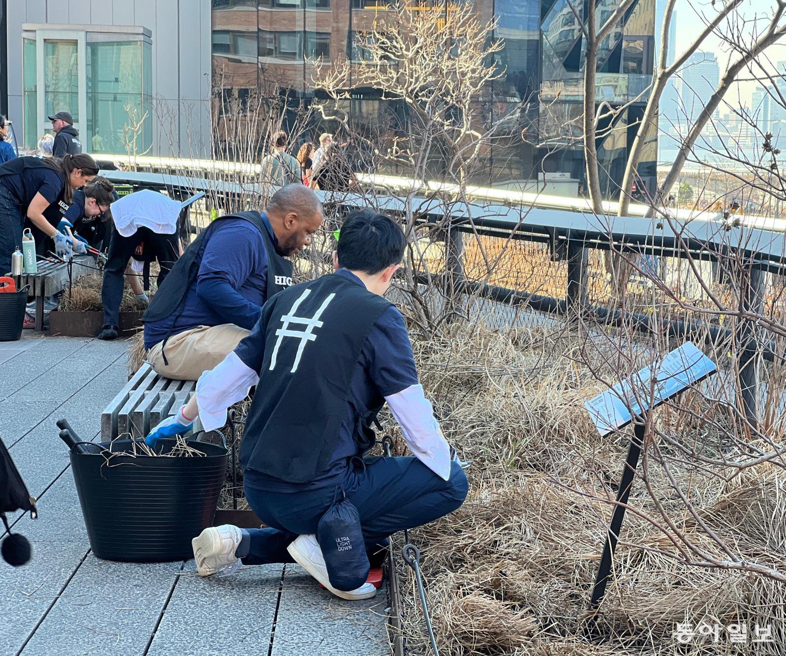 [글로벌 현장을 가다/임우선]‘센트럴 파크’부터 ‘포켓 파크’까지… 300개 공원 들어선 뉴욕 맨해튼