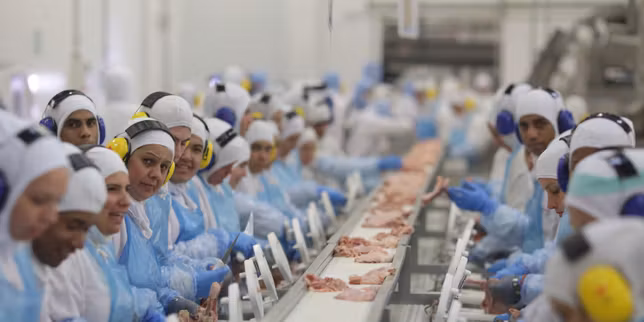 A Chapeco, la « capitale des abattoirs » brésilienne, des ouvriers sous pression : « Les entreprises voudraient qu’on soit des robots »
