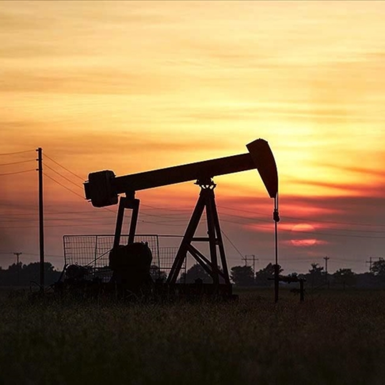 BAE OPEC'ten ayrılıyor