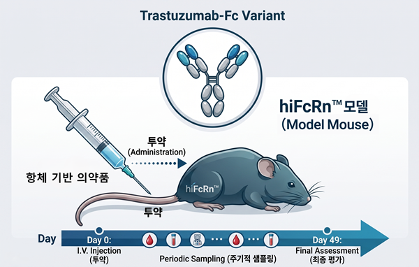 젬크로, 항체 평가용 FcRn 인간화 마우스 모델 hiFcRn™ 영국 수출