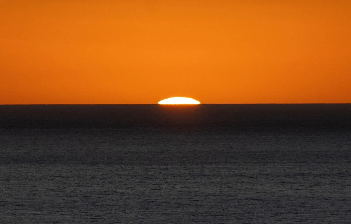 Californie : Un comté passe en état d’urgence après une invasion de moules