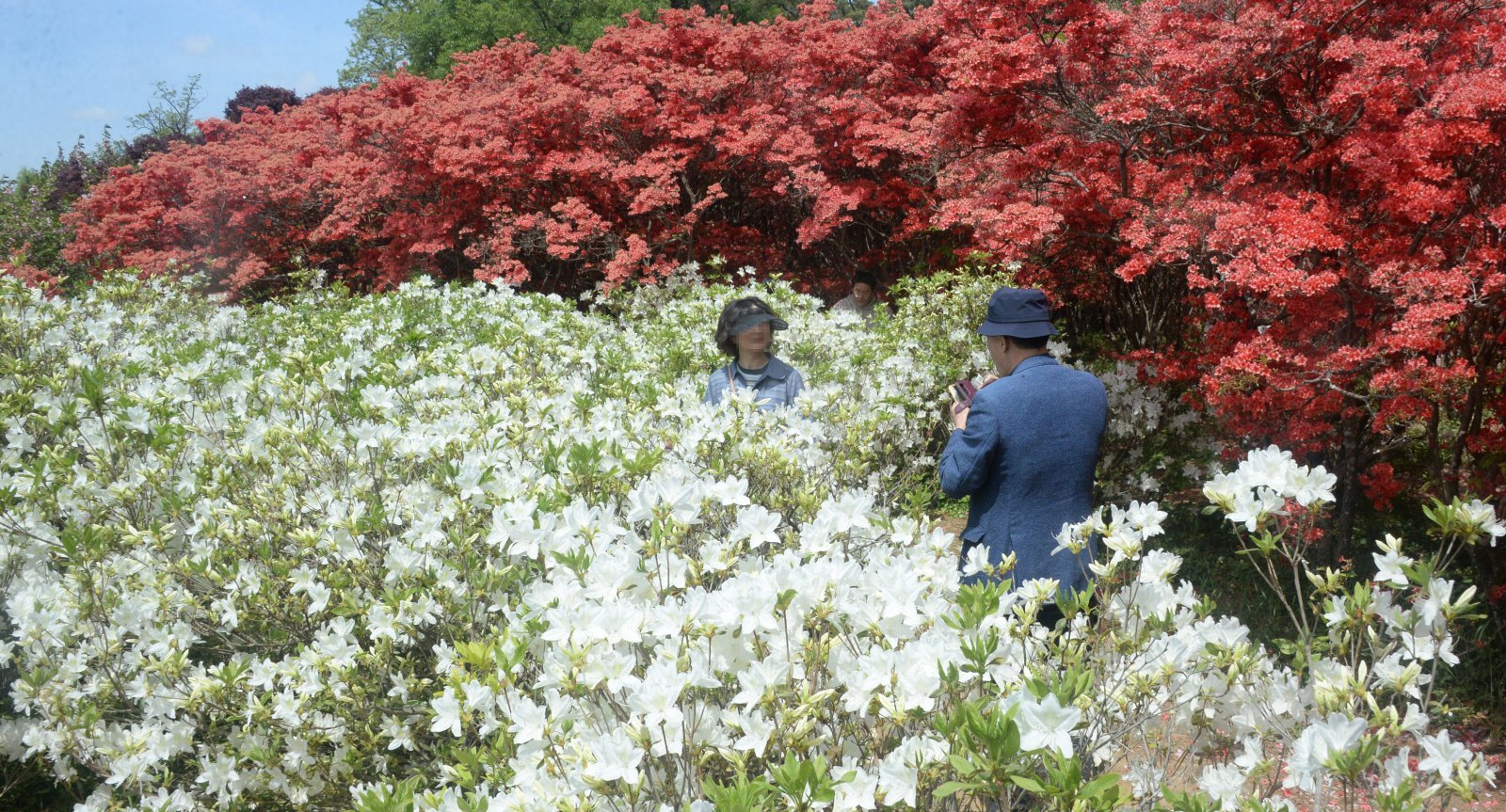 [오늘날씨]‘노동절’ 아침까지 남부에 비…내륙 큰 일교차