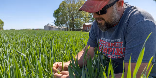 « Malgré la répétition des crises, notre nourriture est toujours aussi dépendante des énergies fossiles »