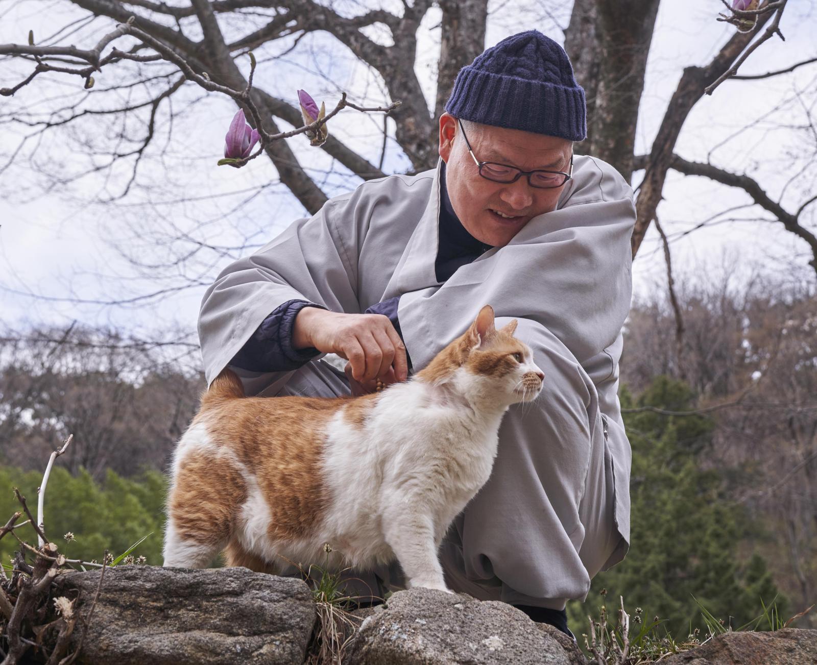 “고양이 통해 기다림의 지혜 배워… 사람들도 너무 애쓰지 않았으면”