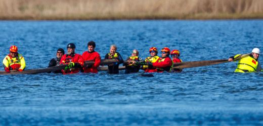 Ostsee-Wal-News heute: Bergungsversuch des Wals hat begonnen