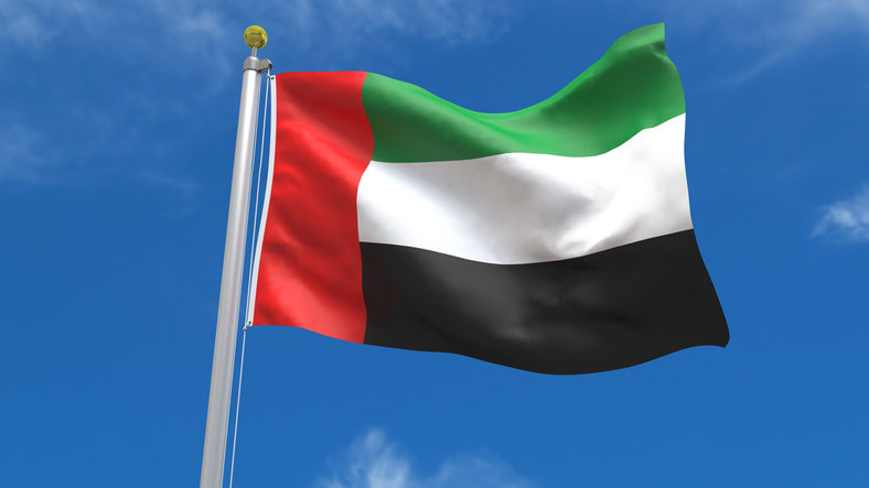 [속보]UAE, 다음 달 1일 OPEC·OPEC+ 탈퇴