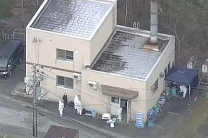 Сотрудник зоопарка бросил останки жены в печь для утилизации мертвых животных