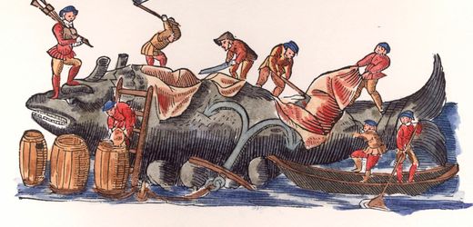 Buckelwal in der Ostsee: Warum für unsere Vorfahren die Party begann, wenn ein Wal strandete