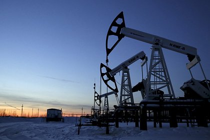 Россия остановит транзит нефти в Германию по трубопроводу «Дружба». Это может стать серьезной проблемой для Берлина и Киева