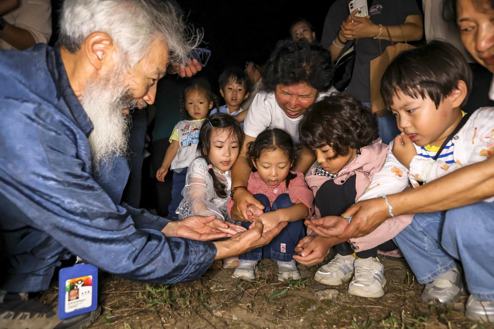 무주에서 보는 반딧불이…탐사프로그램 6월·9월 상설화