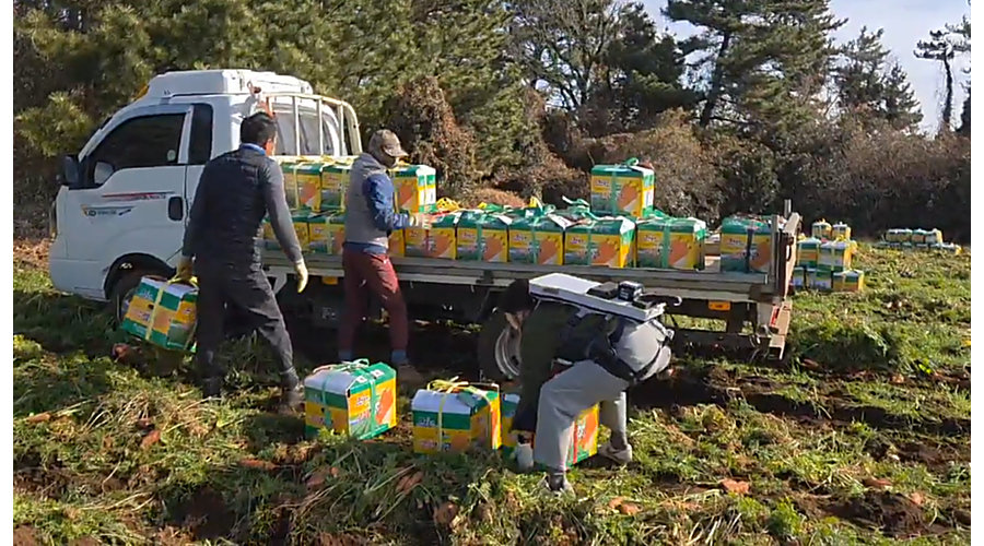 근력 조끼 착용했더니 당근 박스도 ‘번쩍’