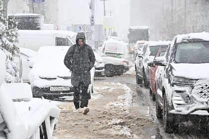 Назван неочевидный плюс снегопада в апреле