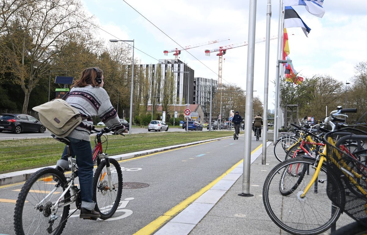 Avec de moins en moins de ventes, le marché du vélo neuf pédale dans la semoule