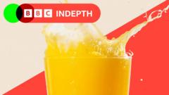 The £5.30 orange juice that tells the story of why supermarket prices are sky high