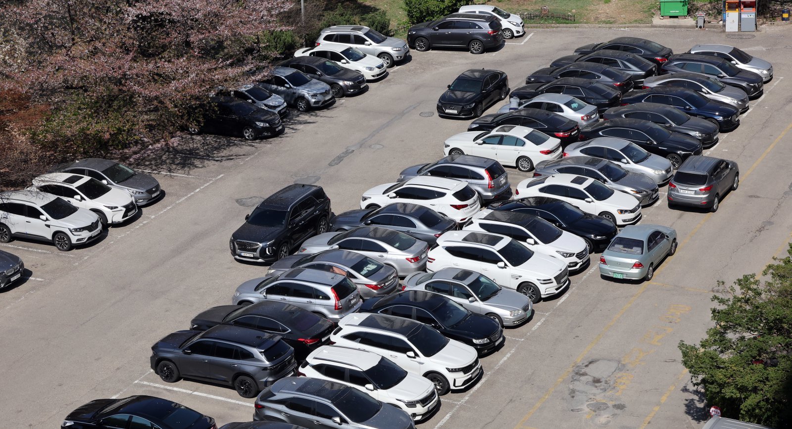 내달부터 5부제 차량 보험료 2% 할인…이달부터 소급 적용