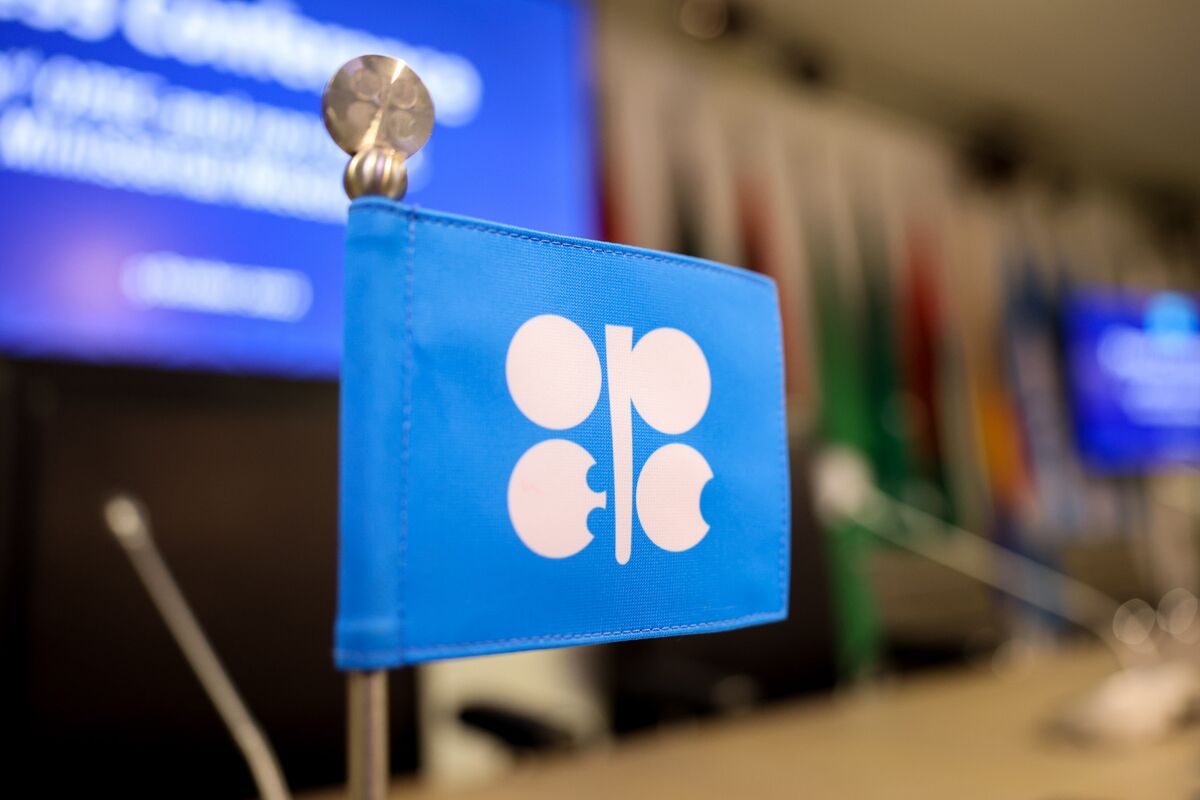 Trump Argues UAE’s OPEC Exit Could Lower Energy Prices Amid War