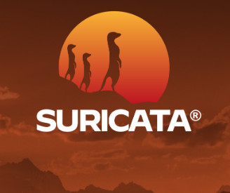 Suricata IPS NFQueue with nDPI. Часть II