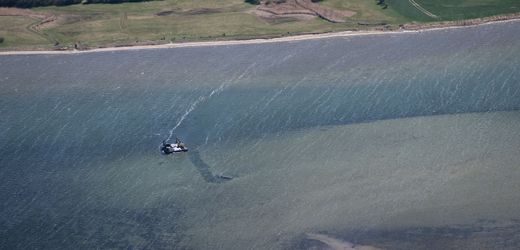 Ostsee-Wal-News heute: Transportkahn soll Wal aus der Ostsee in die Nordsee bringen