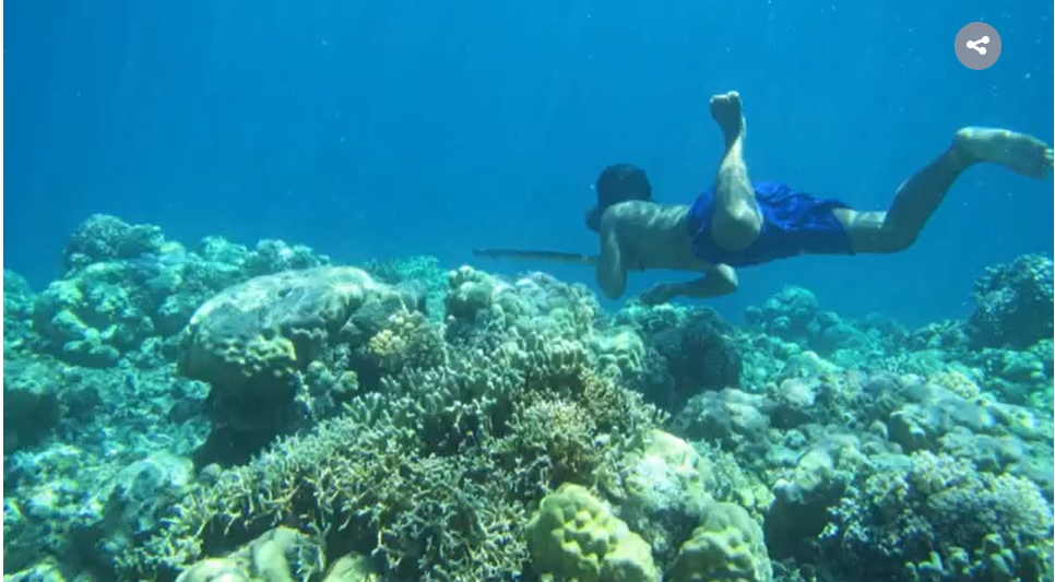 Наглядная эволюция человека, на коротком отрезке времени