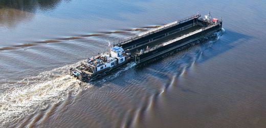 Ostsee-Wal-News heute: Meeresbiologe kritisiert Transport mit Lastkahn - wegen Lärmbelastung