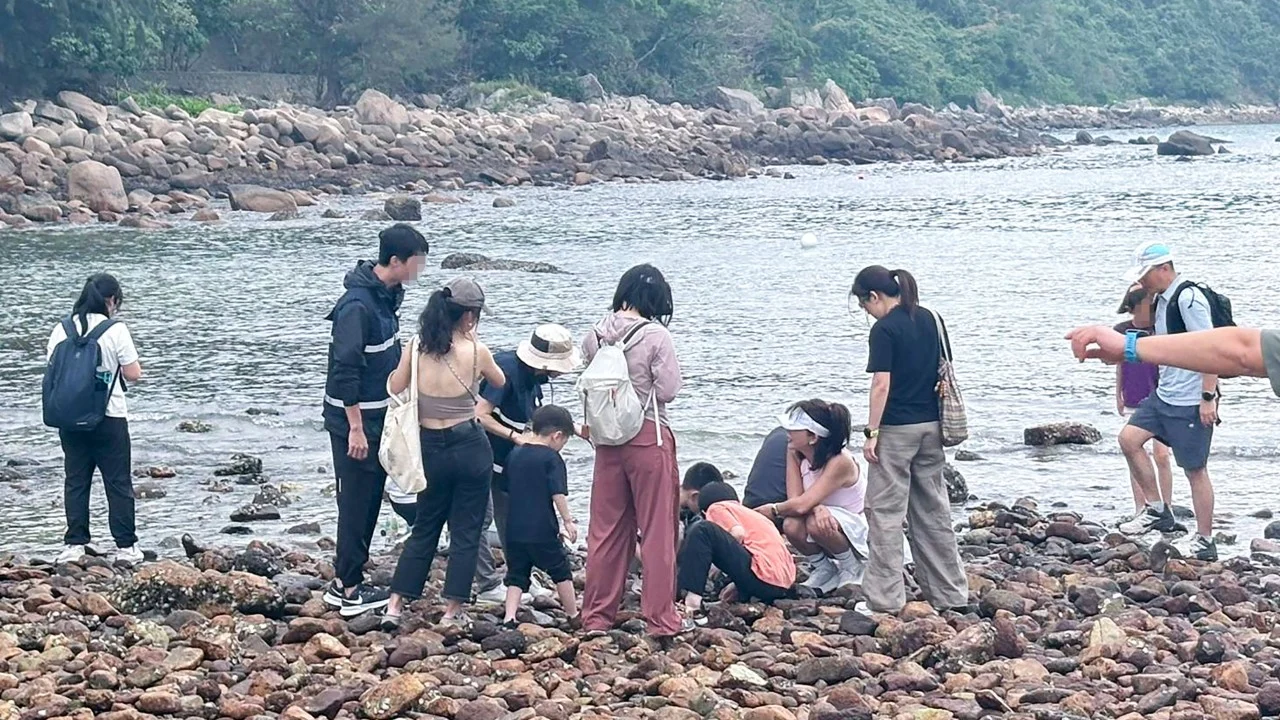 Visitors warned over removing crabs, shells from Hong Kong’s Sharp Island