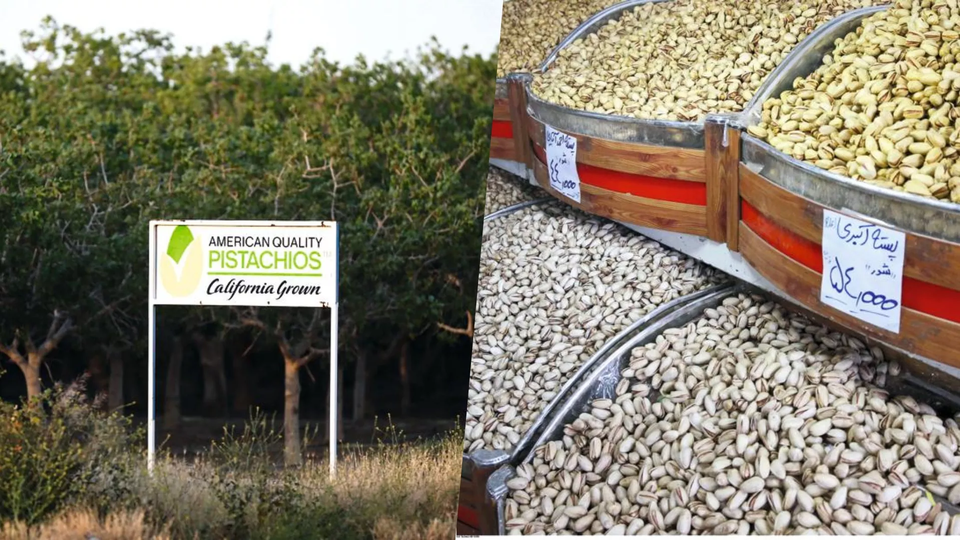 Dans « la guerre des pistaches », comment la France pourrait saisir sa chance entre l’Iran et les États-Unis