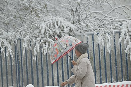 Москвичам дали прогноз по снегу