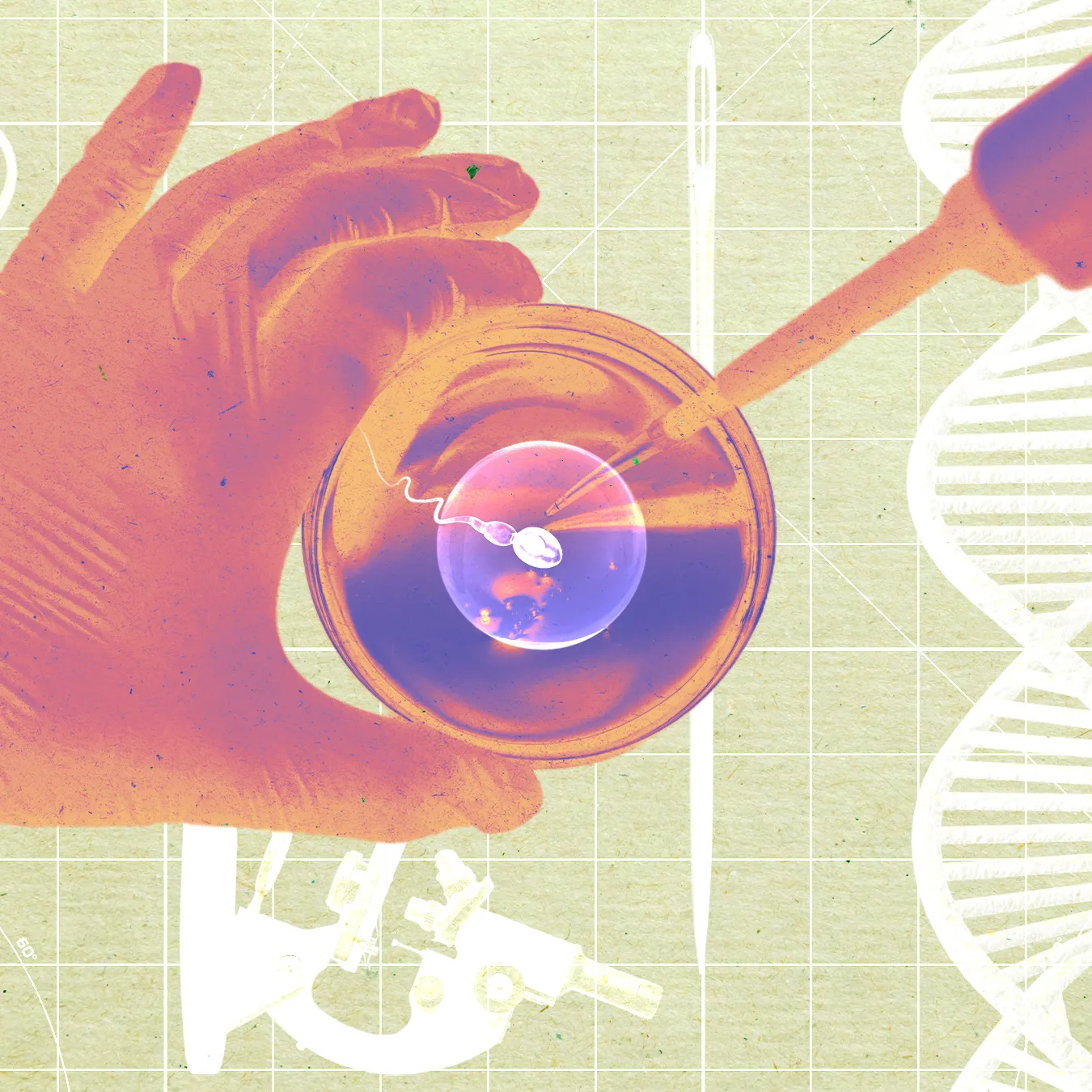 A Startup Says It Grew Human Sperm in a Lab—and Used It to Make Embryos