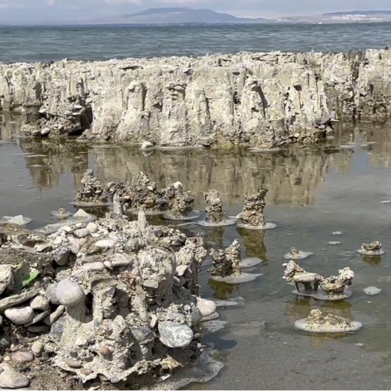 Van Gölü'ndeki mikrobiyalitler 'Guinness' yolunda!