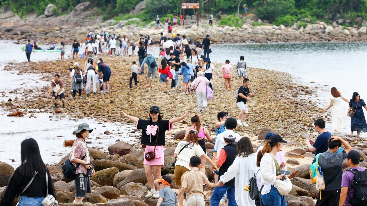Labour Day tourists gain deeper awareness of corals amid government promotion push